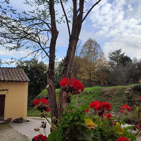 Podere Rinascidentro Bed & Breakfast *