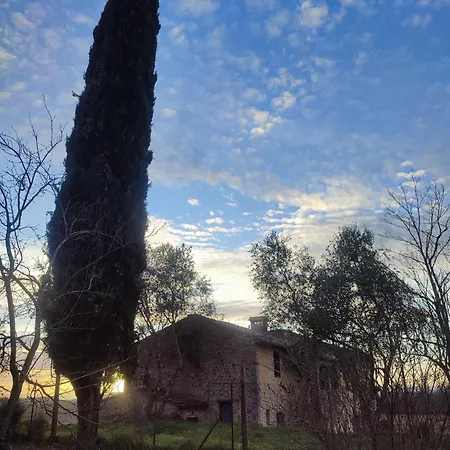 Podere Rinascidentro Bed & Breakfast *